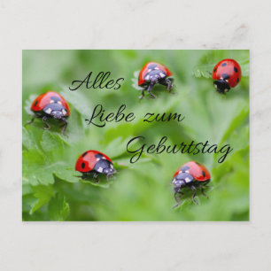 Alles Liebe zum Geburtstag! Vykort