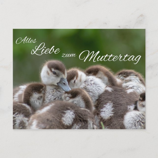 Alles Liebe zum Muttertag tag Vykort (Framsida)