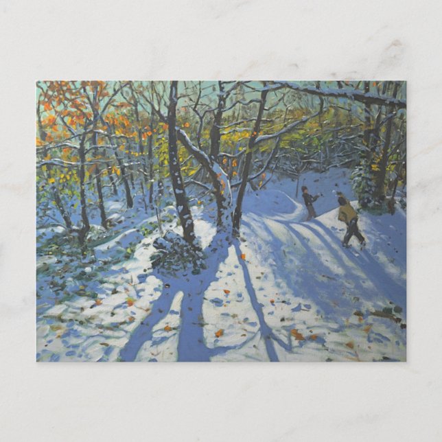 Allestree Park Skogen, november 2010 Vykort (Framsida)