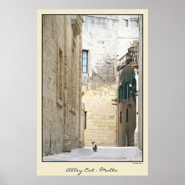 Alley Cat - Malta Poster (Framsidan)