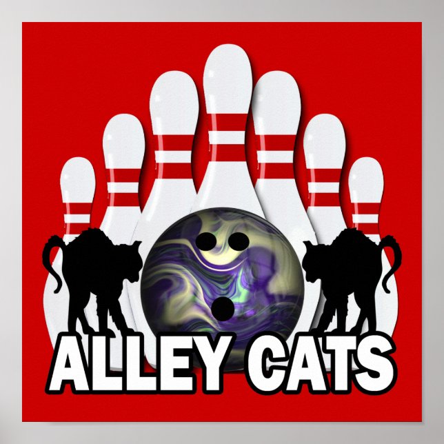 Alley Cats Poster (Framsidan)