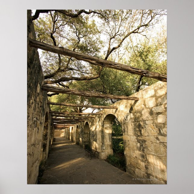 Alley in San Antonio, Texas Poster (Framsidan)