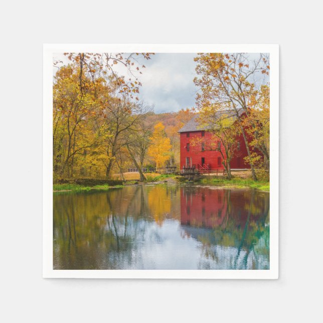 Alley Mill och Vår Pappersservett (Framsidan)