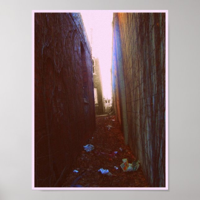 Alley Poster (Framsidan)