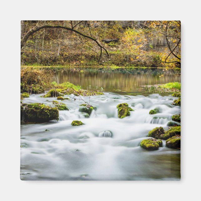 Alley Springs forsar Magnet (Framsidan)