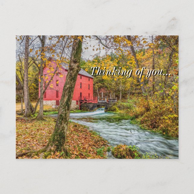 Alley tänker på ditt vykort (Framsida)