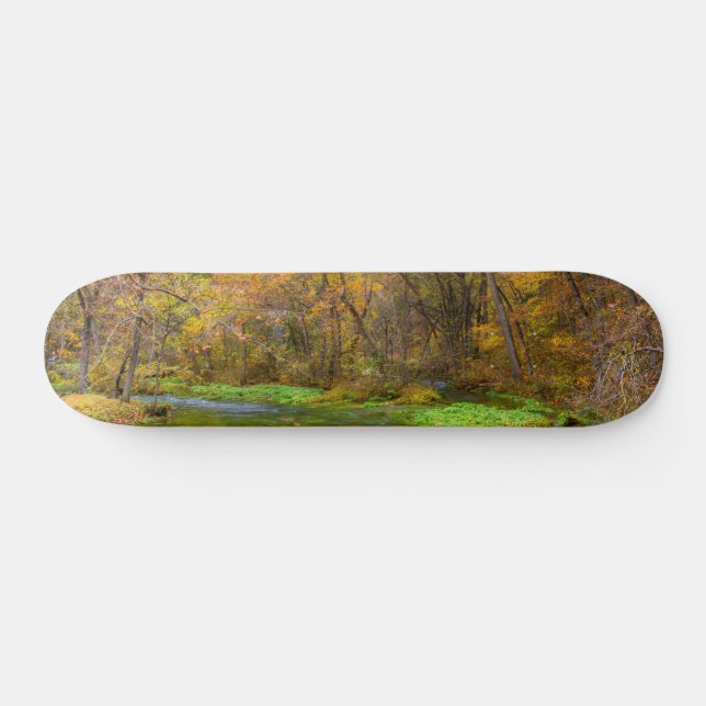 Alley Vår Autumn Vatten Skateboard (Horz)