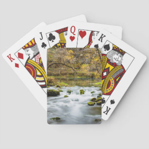 Alley Vår Rapids Casinokort