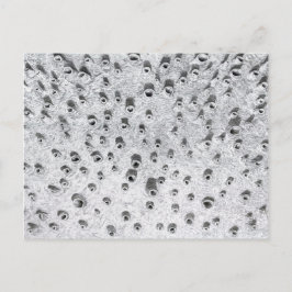 allí en torrare värld vykort