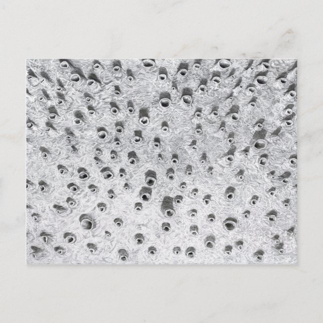 allí en torrare värld vykort (Framsida)