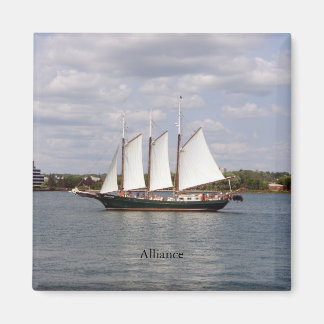 Alliansmagnet Magnet
