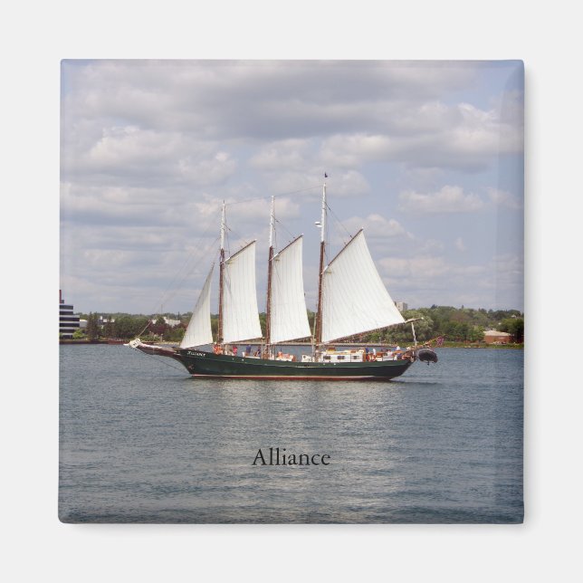 Alliansmagnet Magnet (Framsidan)