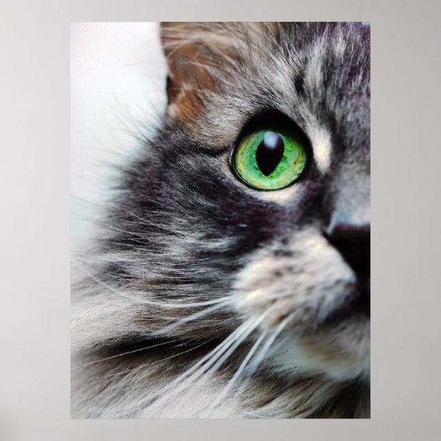 Allie (halva Ansikte) Poster (Framsidan)