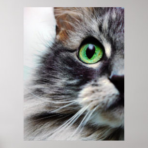 Allie (halvt ansikte) poster