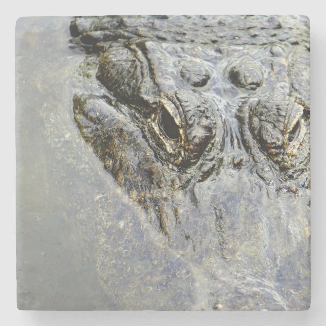 Alligator 2 stenunderlägg (Framsidan)