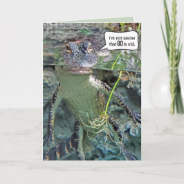 Alligator 80:e födelsedagen kort