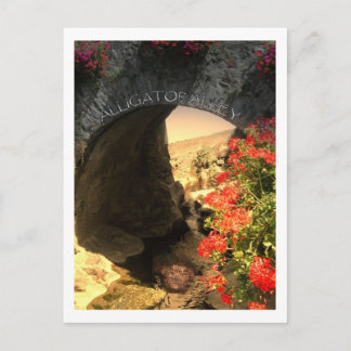 Alligator Alligey för POST-kort Vykort