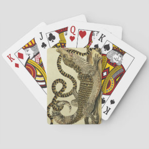 Alligator and Snake, 1730 (färgad engrave) Spelkort
