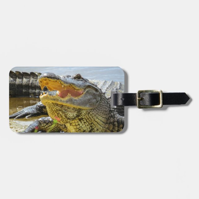 Alligator. Ansikte - till - ansikte Bagagebricka (Horisontell Framsida)