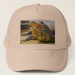Alligator. Ansikte till ansikte Keps