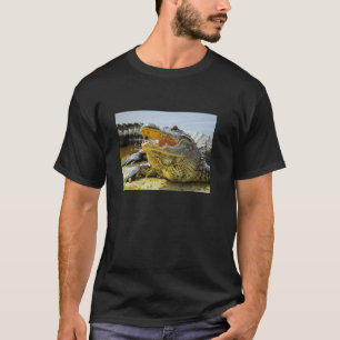 Alligator. Ansikte - till - ansikte Tee