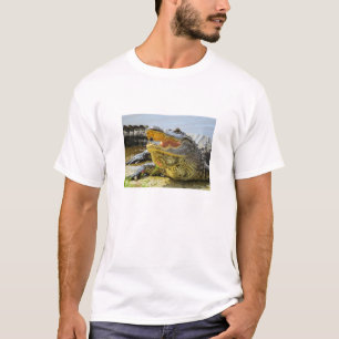 Alligator. Ansikte - till - ansikte Tröja