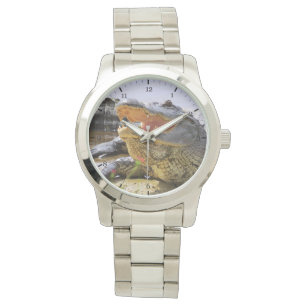 Alligator Armbandsur