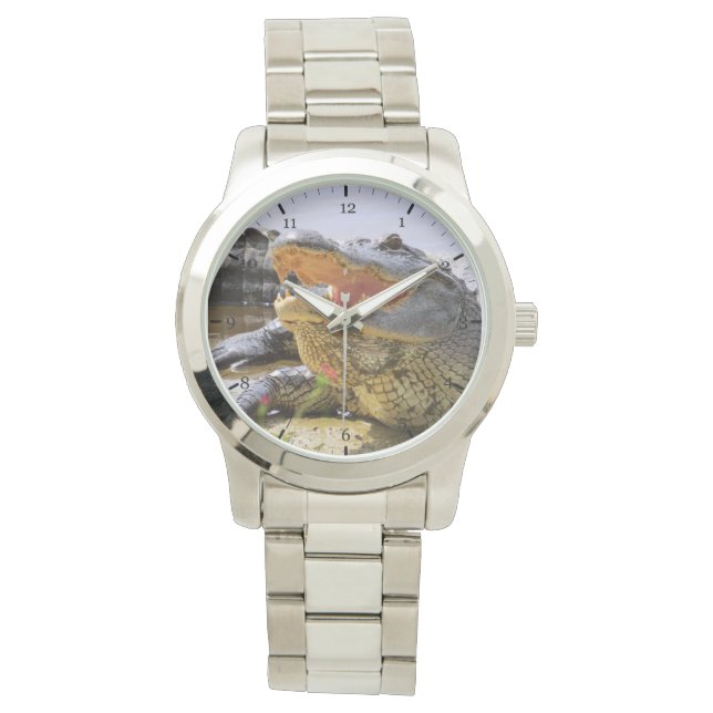 Alligator Armbandsur (Framsida)
