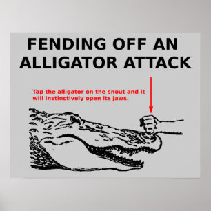 Alligator Attack Affisch