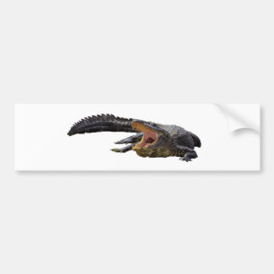 Alligator Bildekal