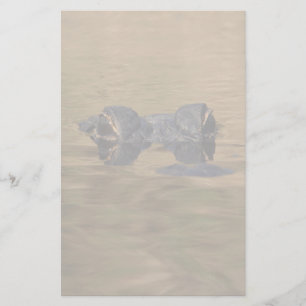 alligator brevpapper