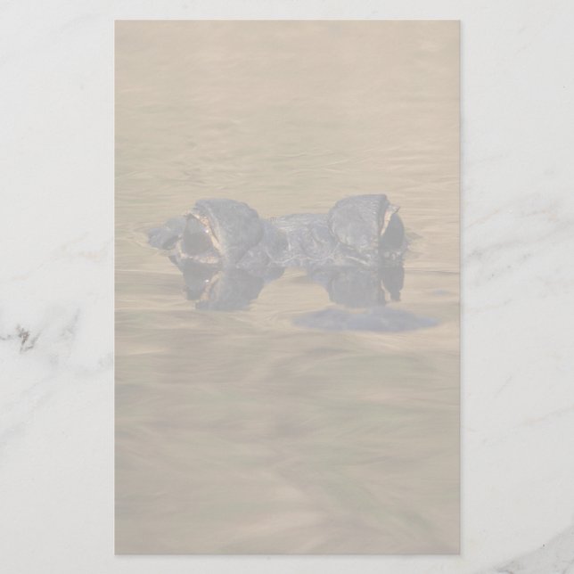 alligator brevpapper (Framsida)