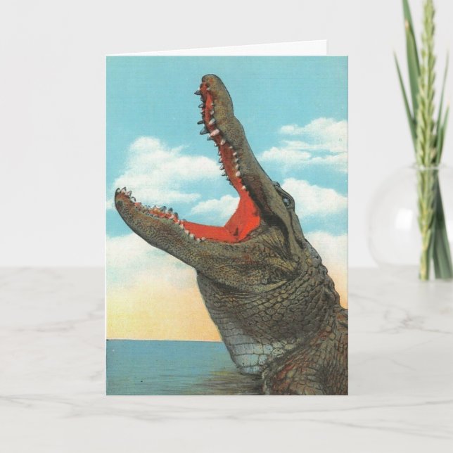 Alligator Card Tack Kort (Framsida)