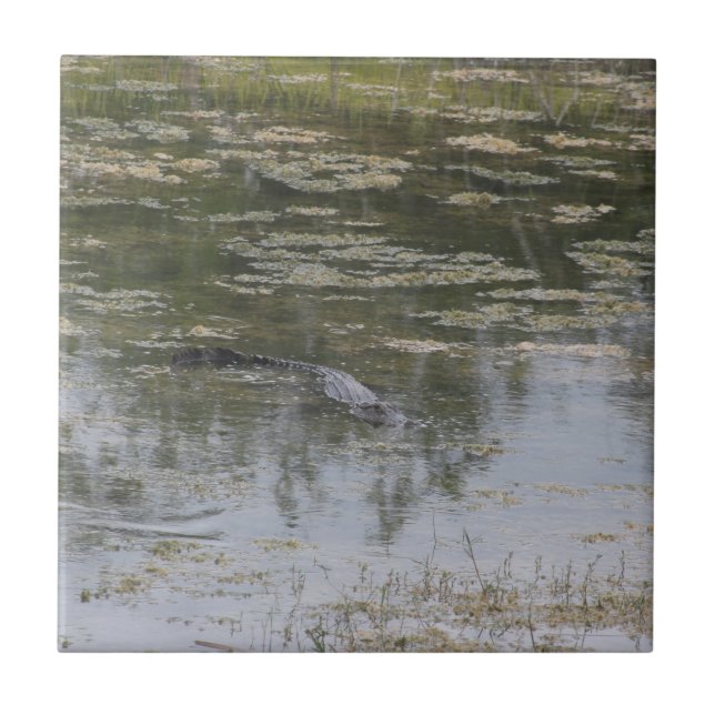 Alligator Ceramic Tile Kakelplatta (Framsidan)