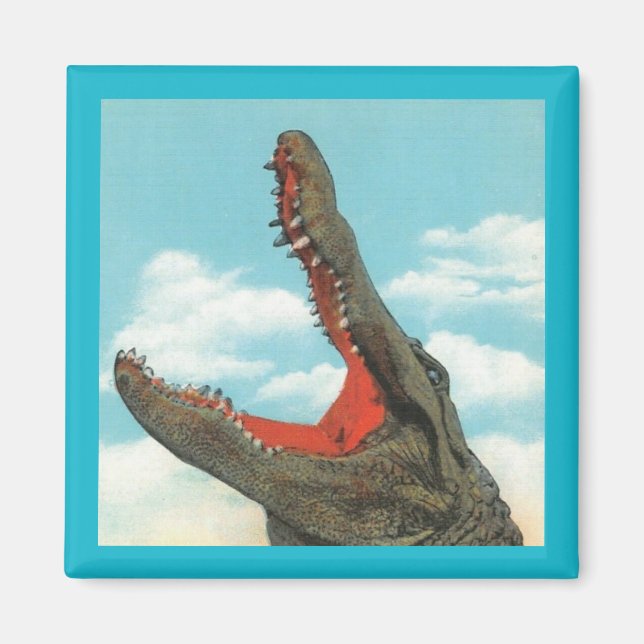 Alligator Chomp Magnet (Framsidan)