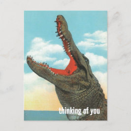 Alligator Chomp Vykort