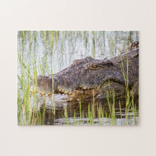 Alligator Crokodiles Wildlife Afrika Pussel (Horisontell)