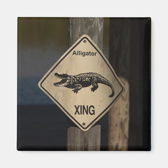 Alligator Crossing Magnet (Framsidan)