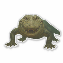 Alligator Cut-out Sticker Klistermärken