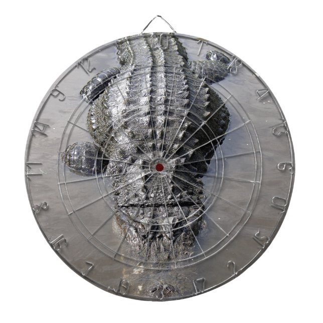 Alligator Darttavla (Framsidan)