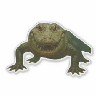 Alligator-dekal Klistermärken