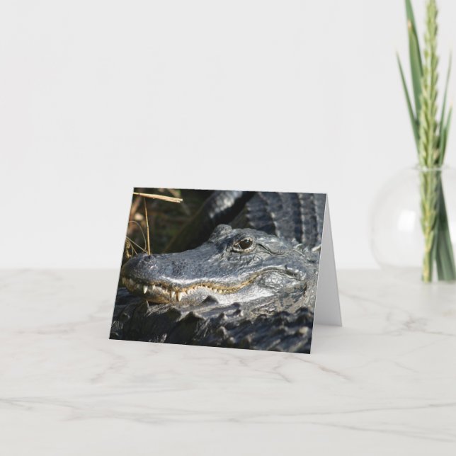 Alligator, Everglades Blank Notecard Kort (Framsida)