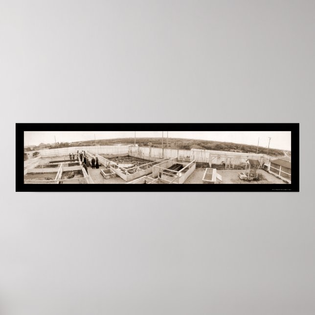 Alligator Farm Florida Photo 1910 Poster (Framsidan)
