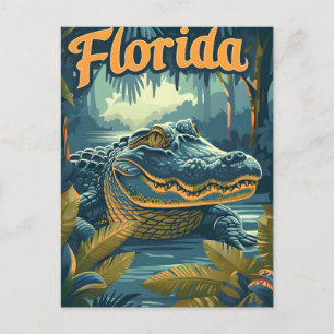 Alligator Florida Everglades Vykort