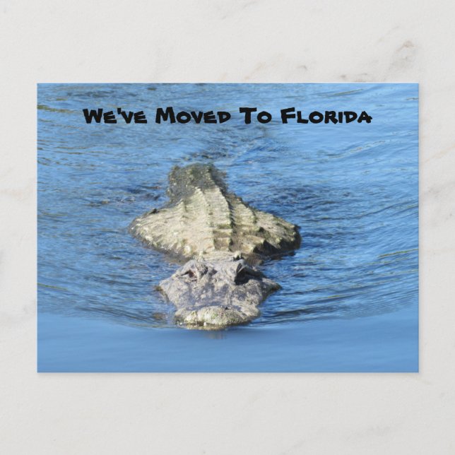 Alligator Flyttat till Florida - Nytt adress vykor Vykort (Framsida)