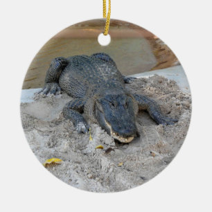 Alligator, Fort Lauderdale, Florida Julgransprydnad Keramik