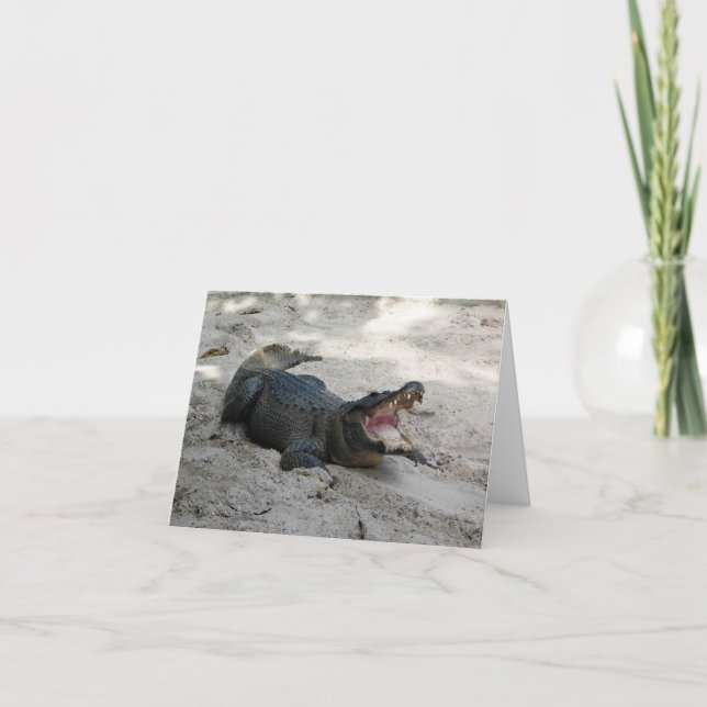 Alligator, Fort Lauderdale, Florida Tack Kort (Framsida)