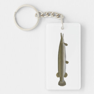 Alligator Gar