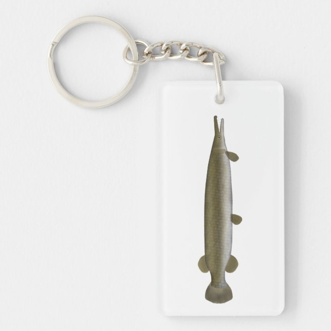 Alligator Gar  (Framsidan)