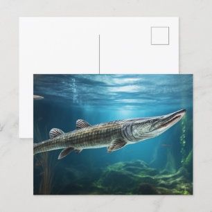 Alligator gar fish simmande Fish Vykort